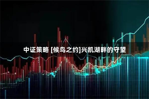 中证策略 [候鸟之约]兴凯湖畔的守望