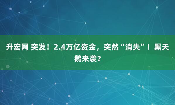 升宏网 突发！2.4万亿资金，突然“消失”！黑天鹅来袭？